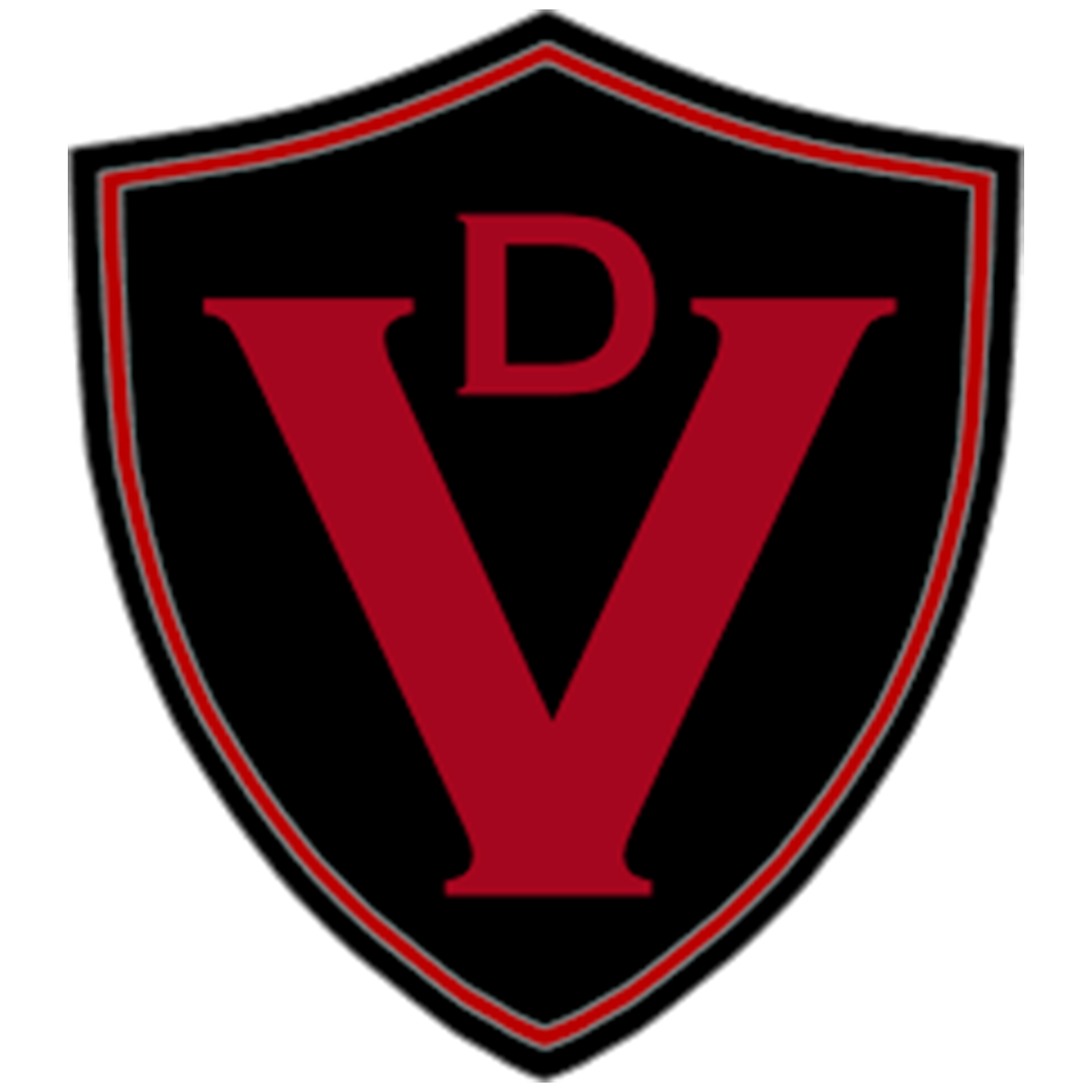 Valvetronic Designs