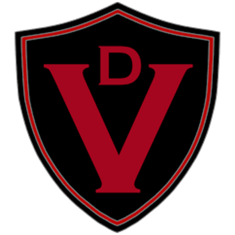Valvetronic Designs