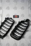 F30/F80 Carbon Fibre Kidney Grills