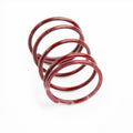 CTS TURBO Replacement Spring for DV/BOV kits