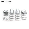 CTS Turbo VW MK7 Jetta GLI Lowering Springs