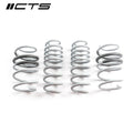 CTS Turbo B9/9.5 Audi SQ5 Lowering Springs