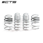CTS Turbo B9/9.5 Audi SQ5 Lowering Springs