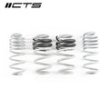 CTS TURBO B8/B8.5 AUDI A4/S4 LOWERING SPRING SET