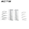 CTS TURBO BMW F30/F32 XDRIVE LOWERING SPRING SET