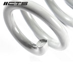 CTS Turbo Audi B9/9.5 A4/S4/A5/S5/Allroad Lowering Springs