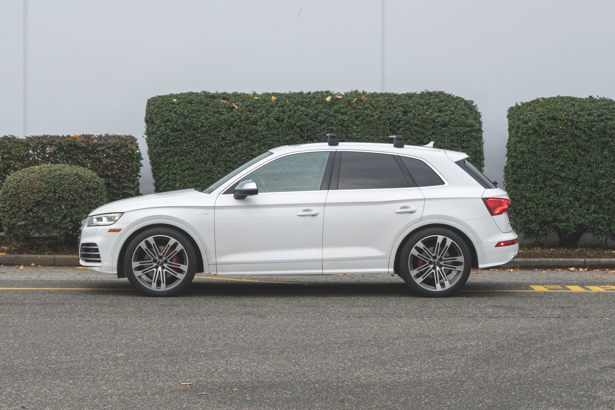 CTS Turbo B9/9.5 Audi SQ5 Lowering Springs