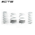 CTS Turbo Audi 8V S3/RS3 Lowering Springs