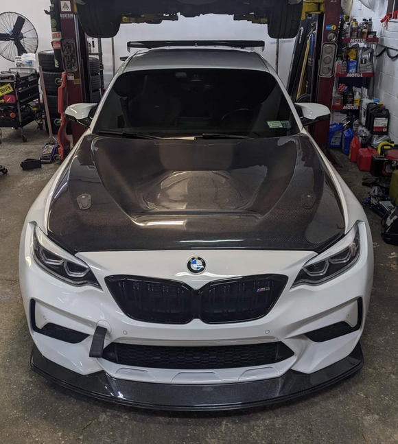 F22/F87 GTS Style Carbon Fibre Hood