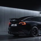 TESLA MODEL 3 AT-S SWAN NECK WING